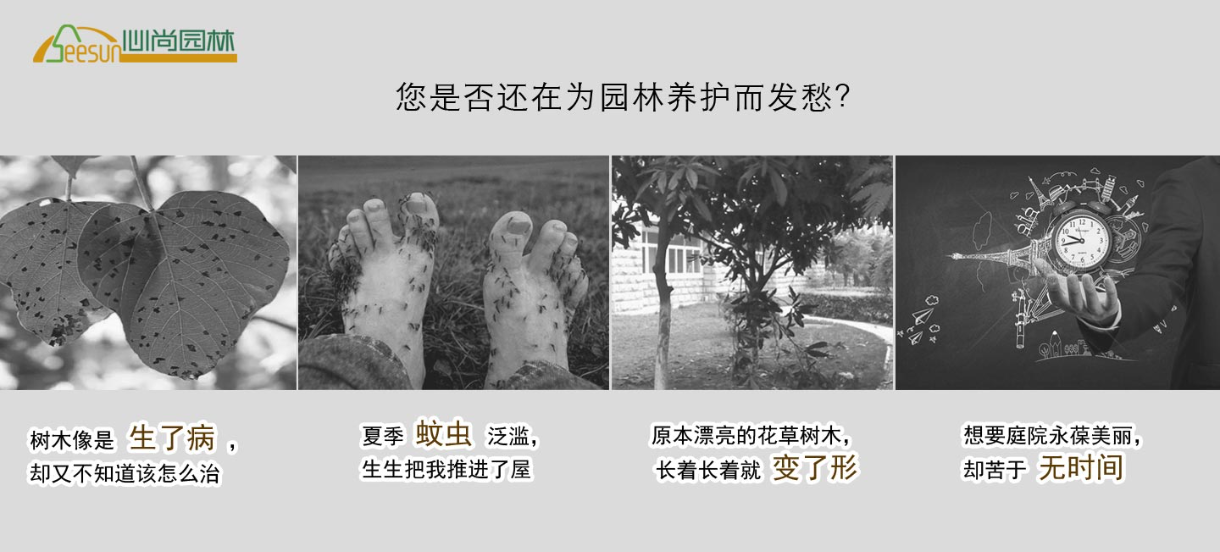 利来集团官网(W66)最给力的老牌