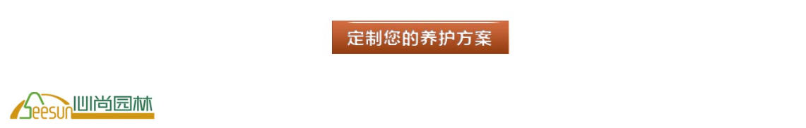 利来集团官网(W66)最给力的老牌