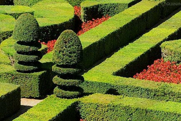 利来集团官网(W66)最给力的老牌