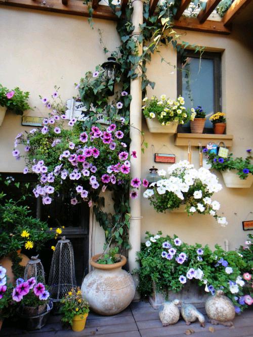 利来集团官网(W66)最给力的老牌