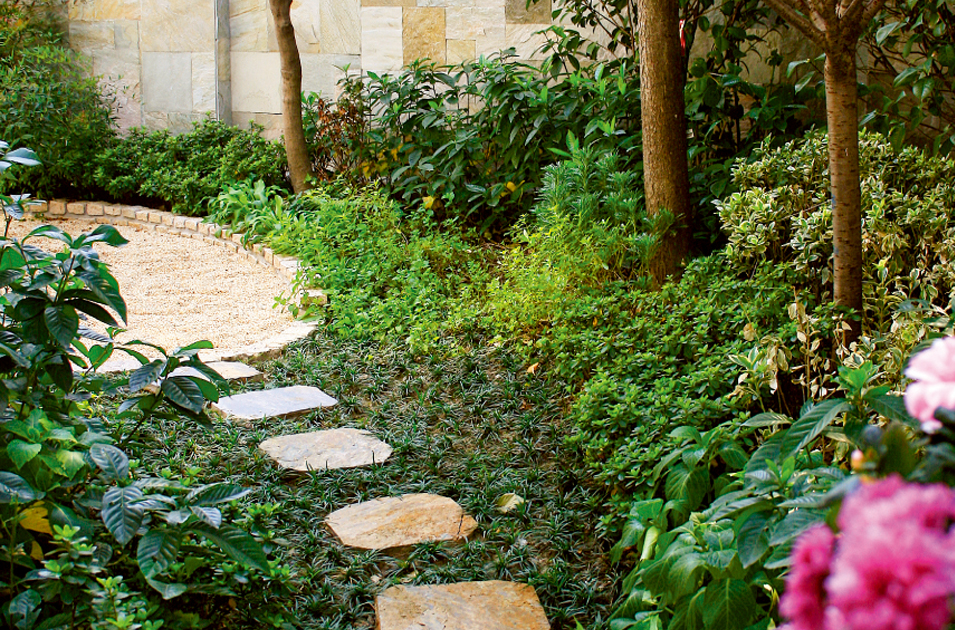 利来集团官网(W66)最给力的老牌